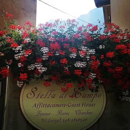 Stella Di Campo 度假居 *